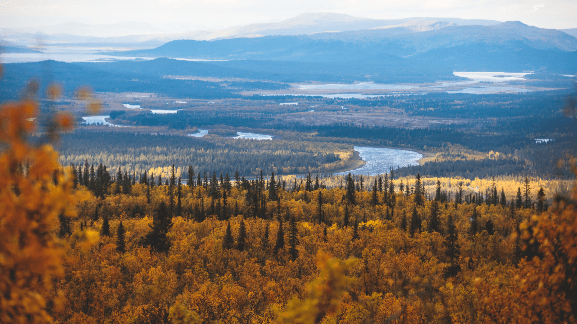 Höstlandskap med skog och berg.